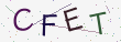 验证码